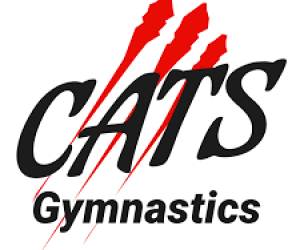 b5aa7f115005e5aa2013849949c93cb632aa06ab